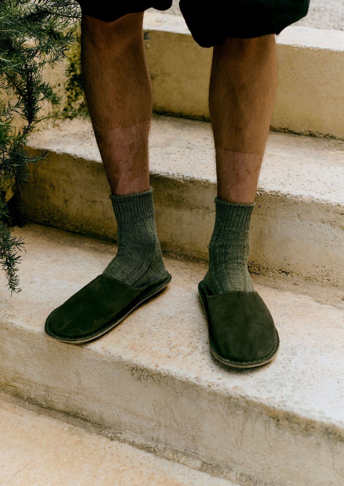 Mules Vibae in pelle scamosciata | Oliva