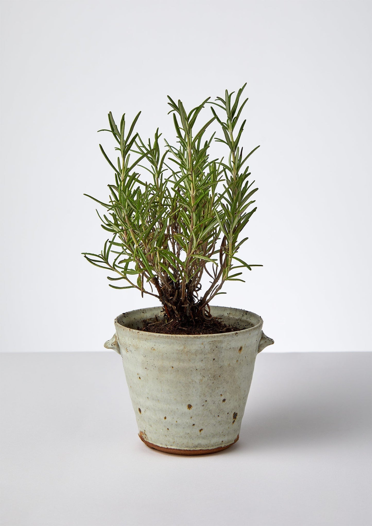 Tim Lake Small Lugged Pot | Bianco dolomite