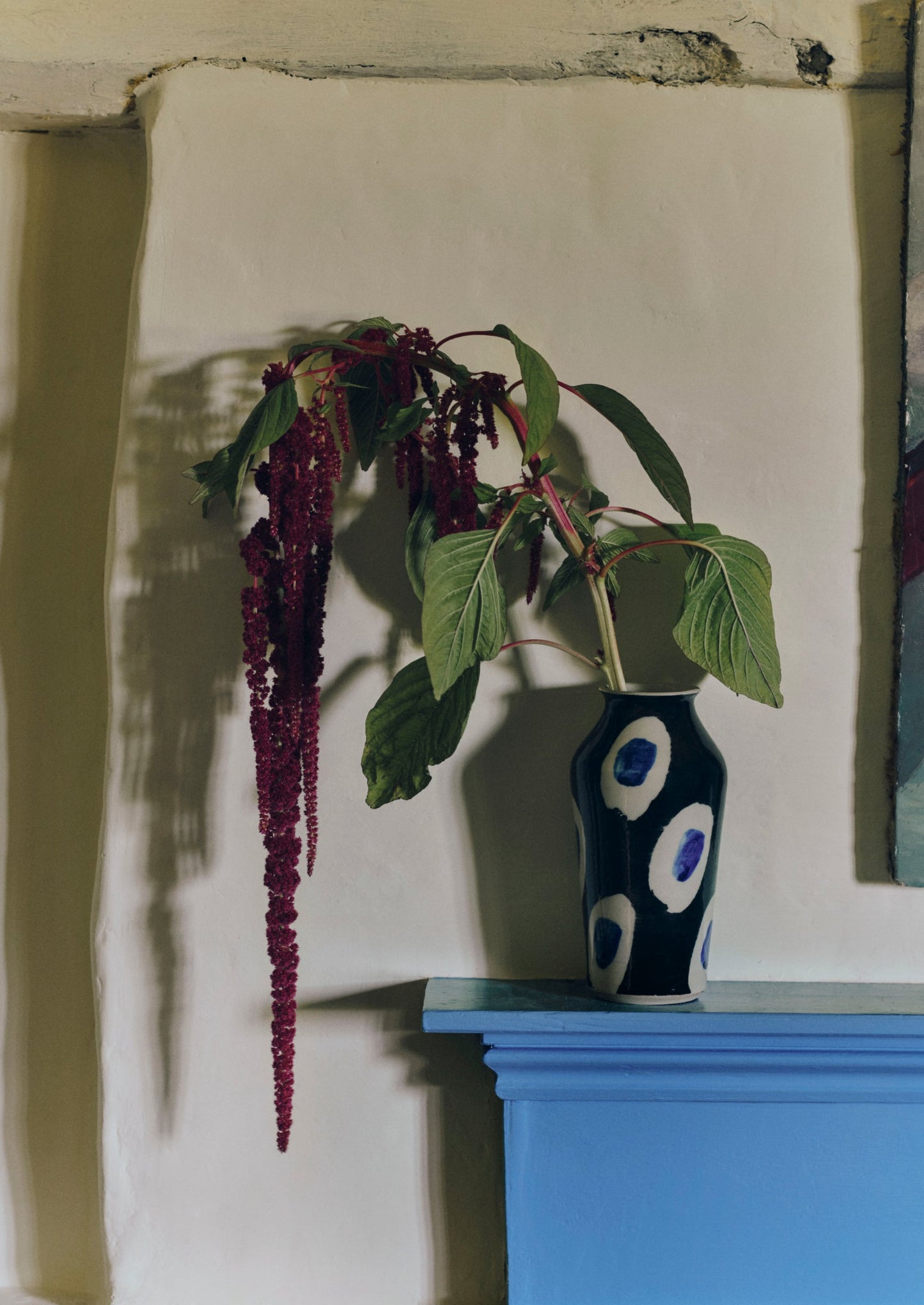 Vaso Ali Hewson Cobalt Dash | Cobalto/Nero