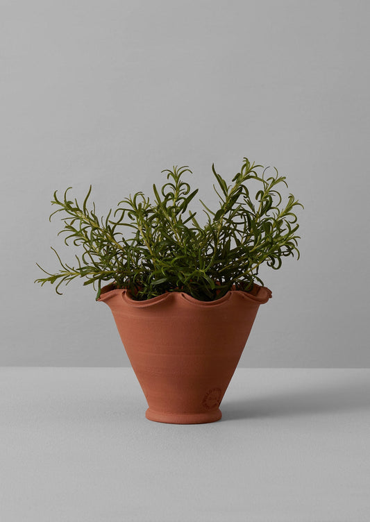Vaso in terracotta Willow Pottery | Terracotta