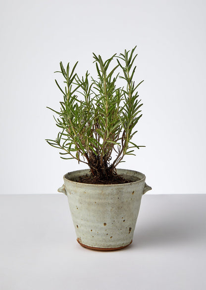 Tim Lake Small Lugged Pot | Bianco dolomite