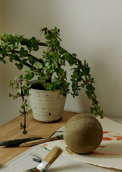 Tim Lake Small Lugged Pot | Bianco dolomite