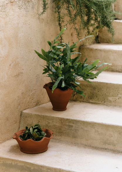 Vaso in terracotta Willow Pottery | Terracotta