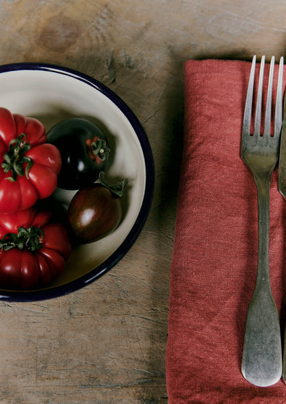 Tovagliolo in lino lavato | Argilla rossa
