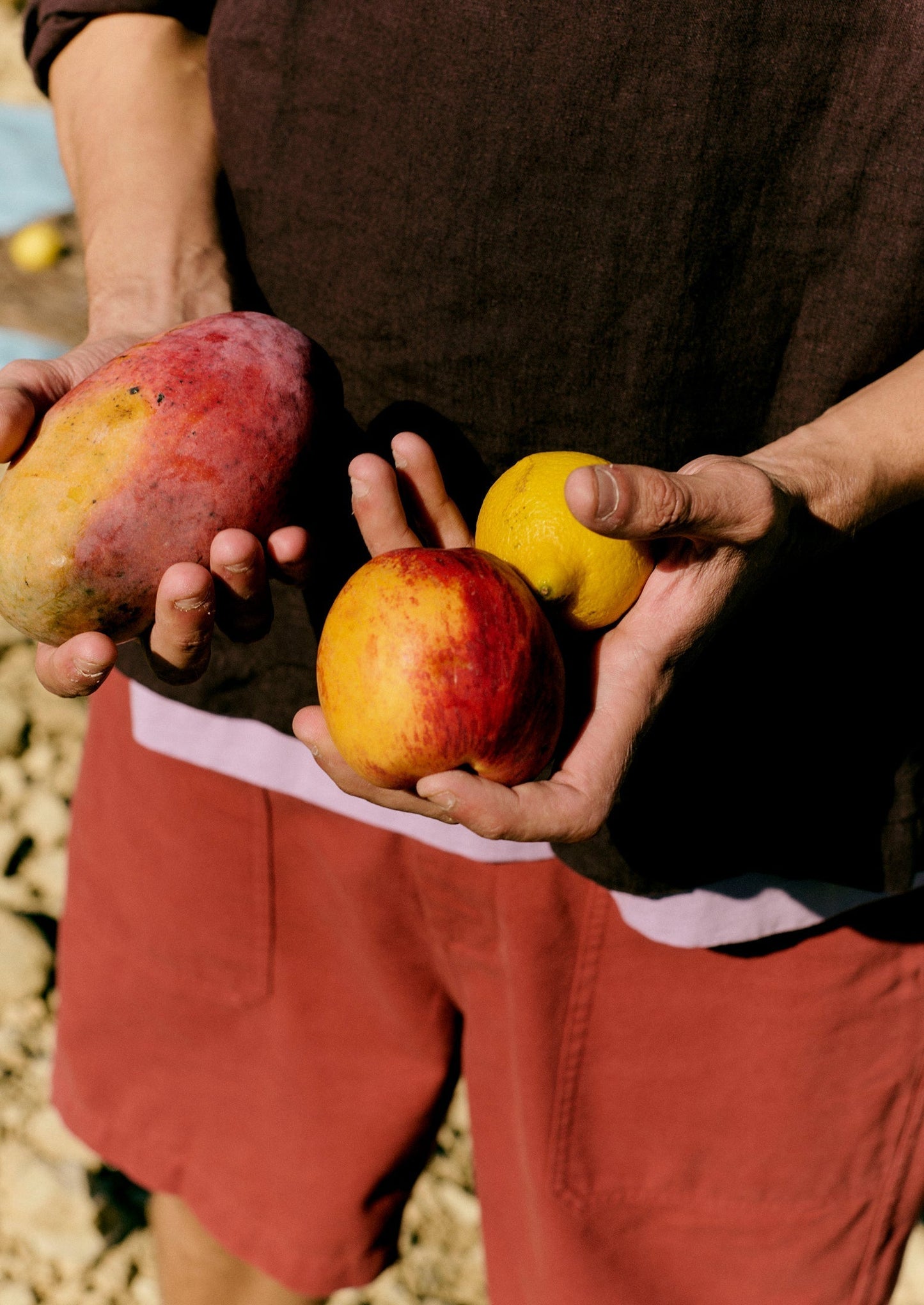Pantaloncini in tela di cotone | Terracotta
