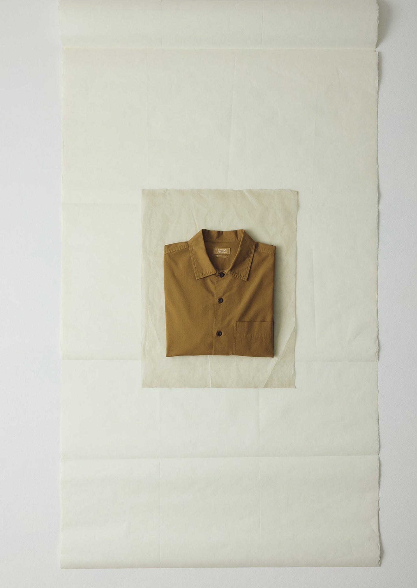 Camicia Oxford tinta in capo | Oro antico